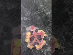 ネスビット 柔軟性のある部分歯入れ 歯入れの快適さと耐久性