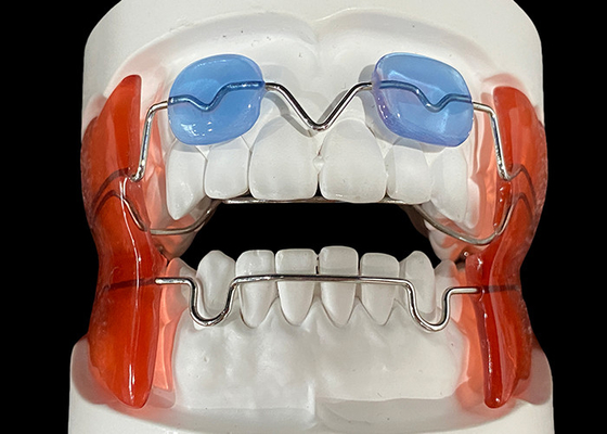 購入 成長する子供たちの口腔の調整を向上させる フランケル 2/3 正歯器 online manufacture