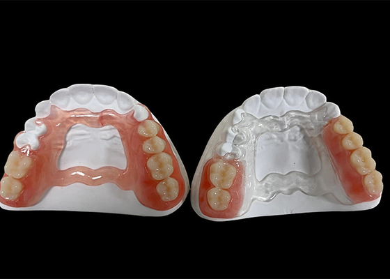 購入 歯を抜ける 歯入れを抜ける 噛みしめる 話すための歯入れ online manufacture